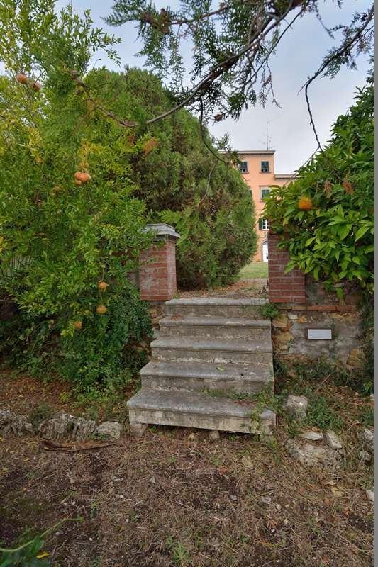 Villa - Campiglia Marittima (7/45)