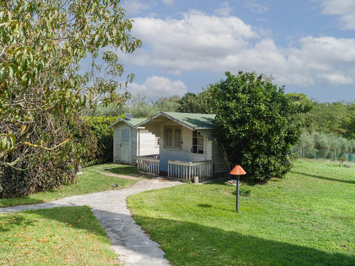 Villa - Casciana Terme Lari (38/50)