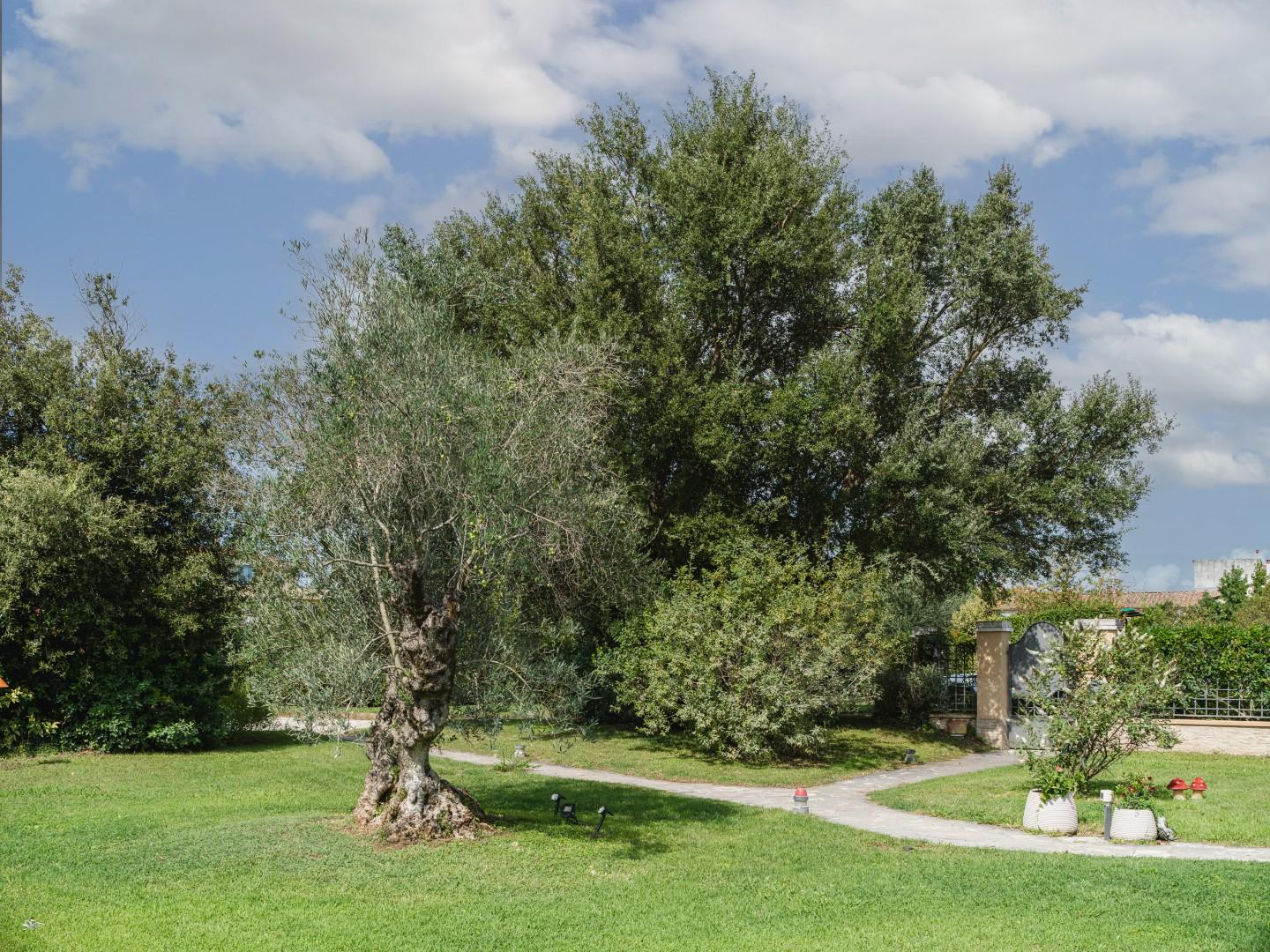Villa - Casciana Terme Lari (36/50)