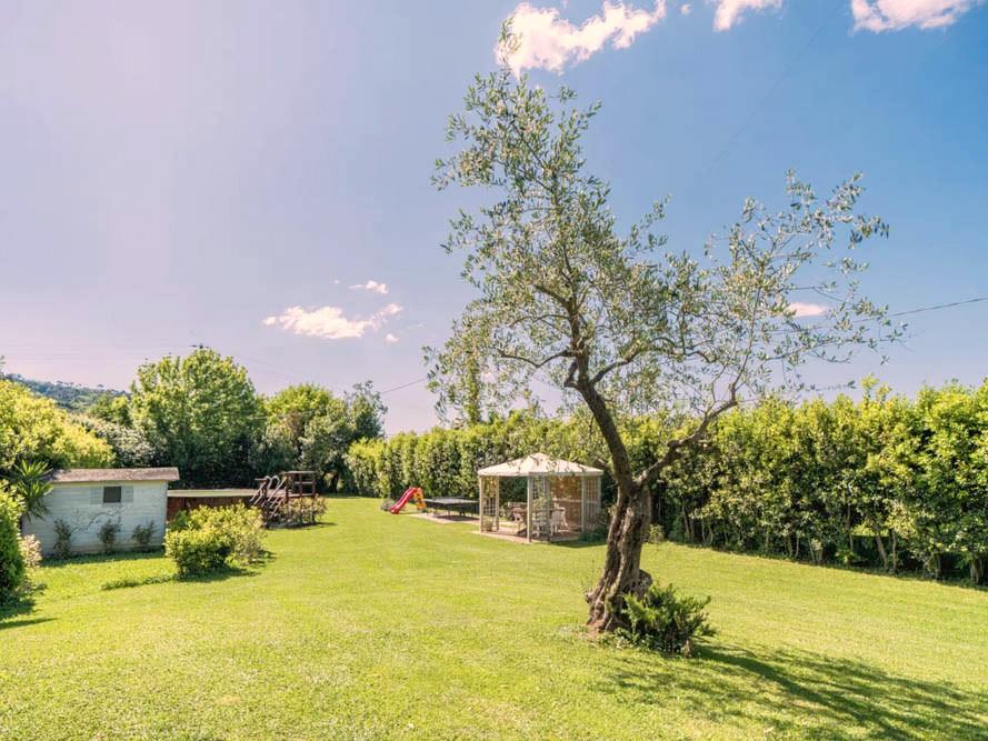 Villa - Capezzano Pianore, Camaiore (30/38)