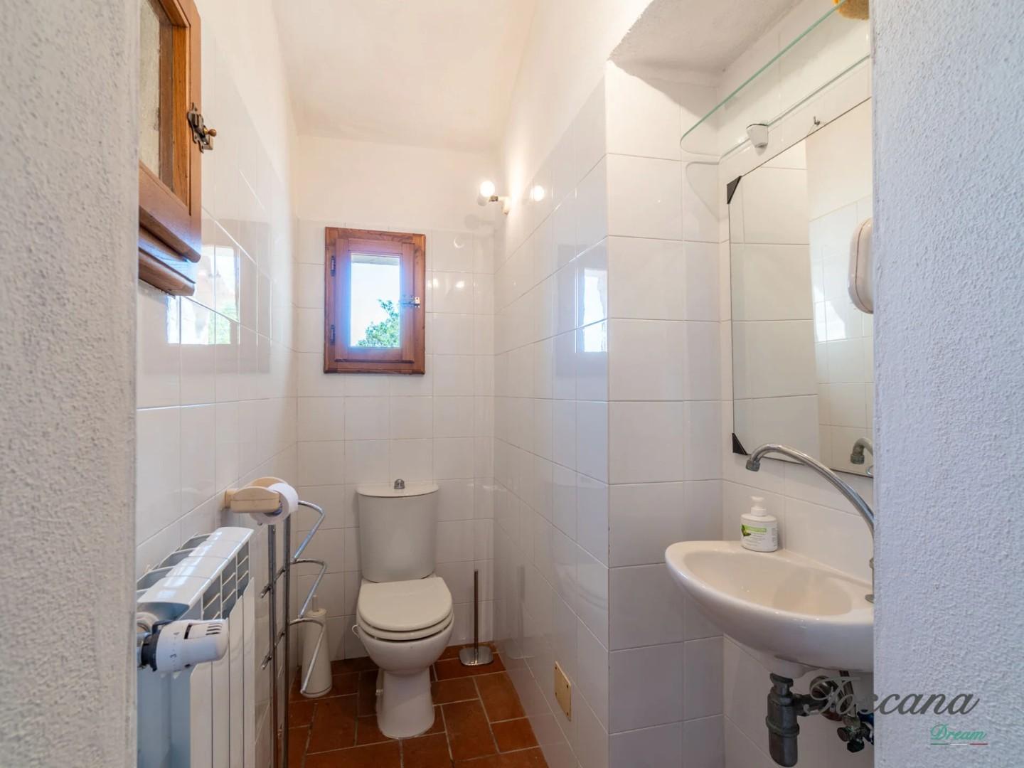 Villa - Castelnuovo di Val di Cecina (48/84)