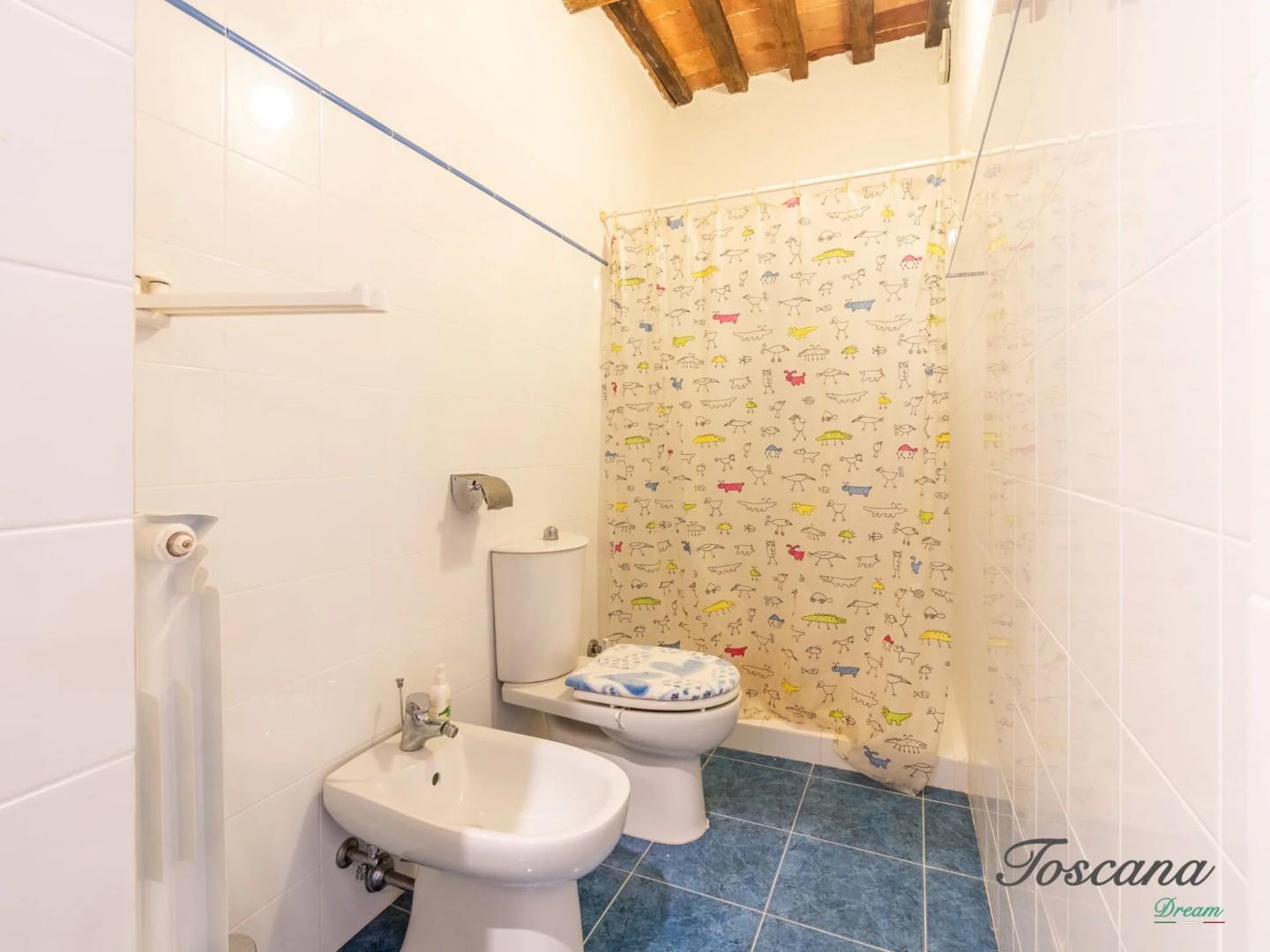 Villa - Castelnuovo di Val di Cecina (54/84)
