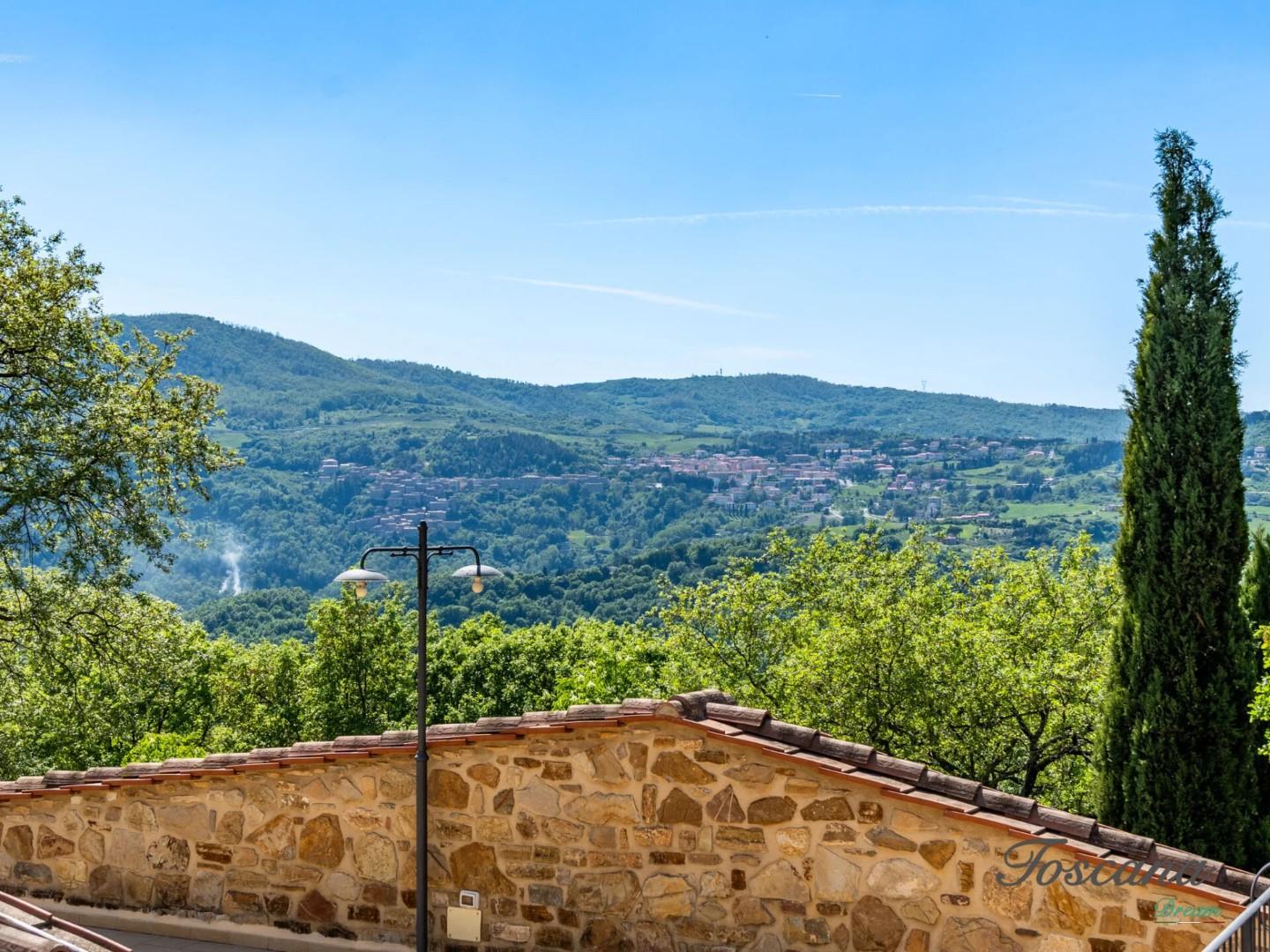 Villa - Castelnuovo di Val di Cecina (11/84)