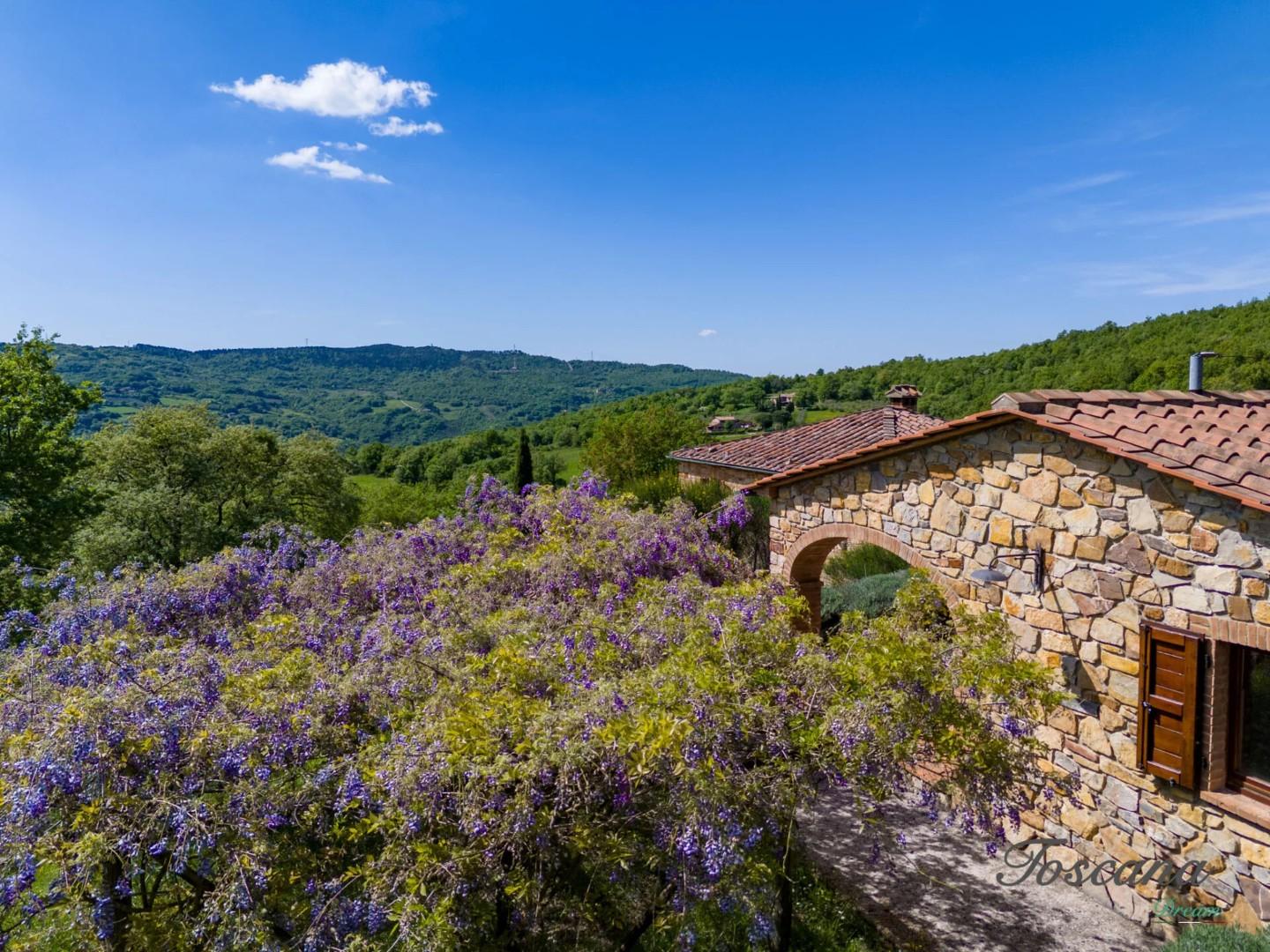 Villa - Castelnuovo di Val di Cecina (20/84)