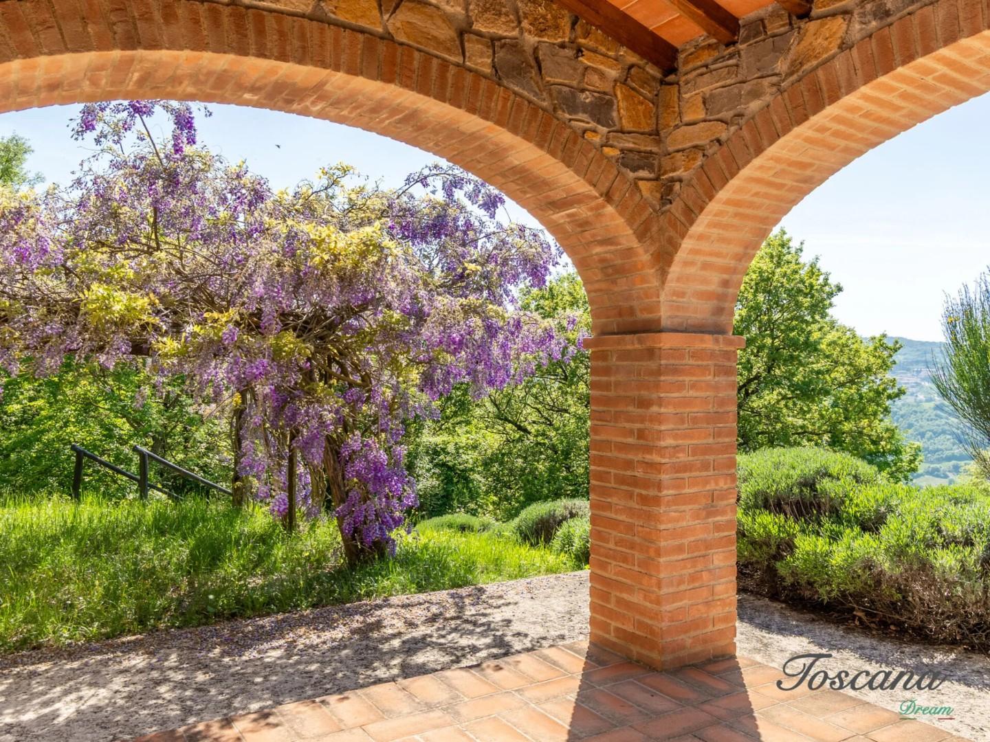Villa - Castelnuovo di Val di Cecina (64/84)