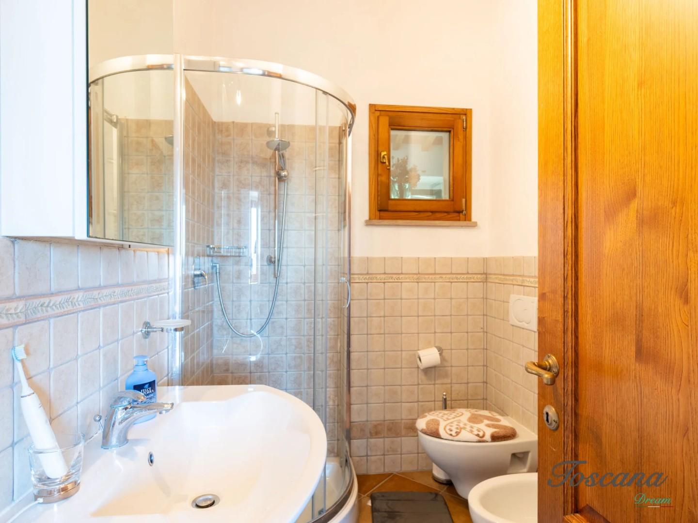 Villa - Castelnuovo di Val di Cecina (66/84)