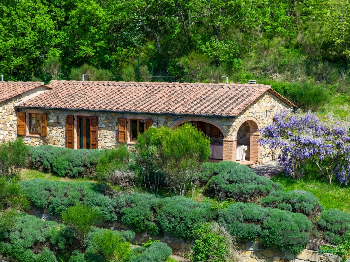Villa - Castelnuovo di Val di Cecina (16/84)