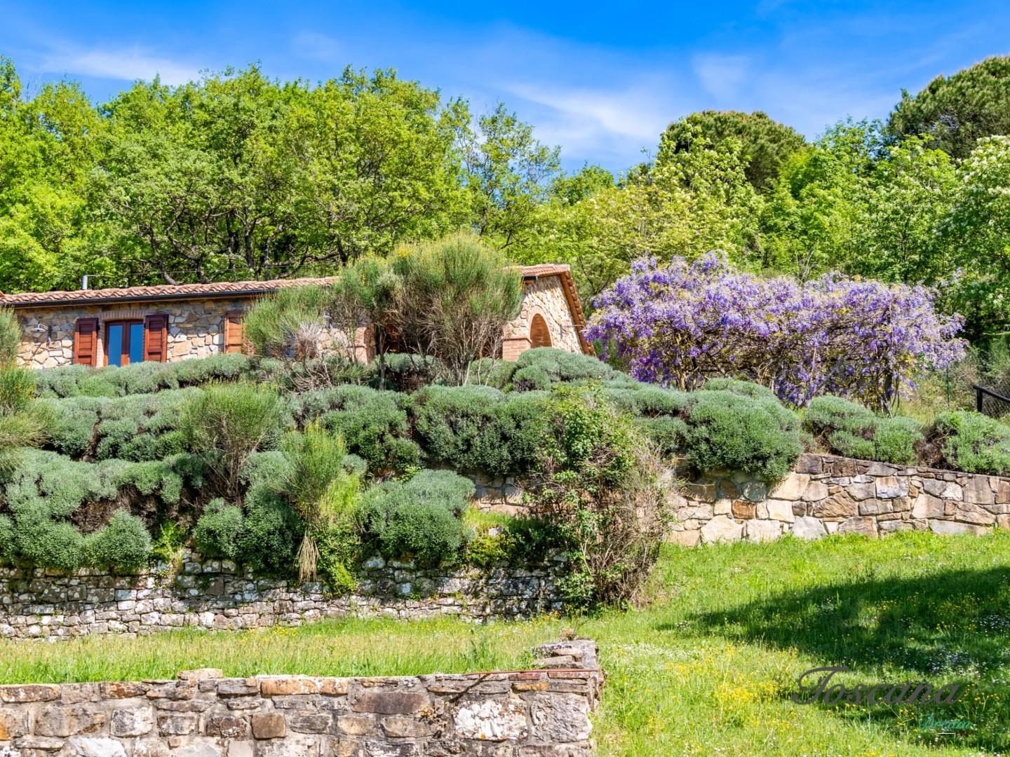 Villa - Castelnuovo di Val di Cecina (17/84)