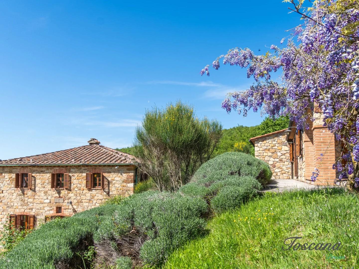 Villa - Castelnuovo di Val di Cecina (18/84)