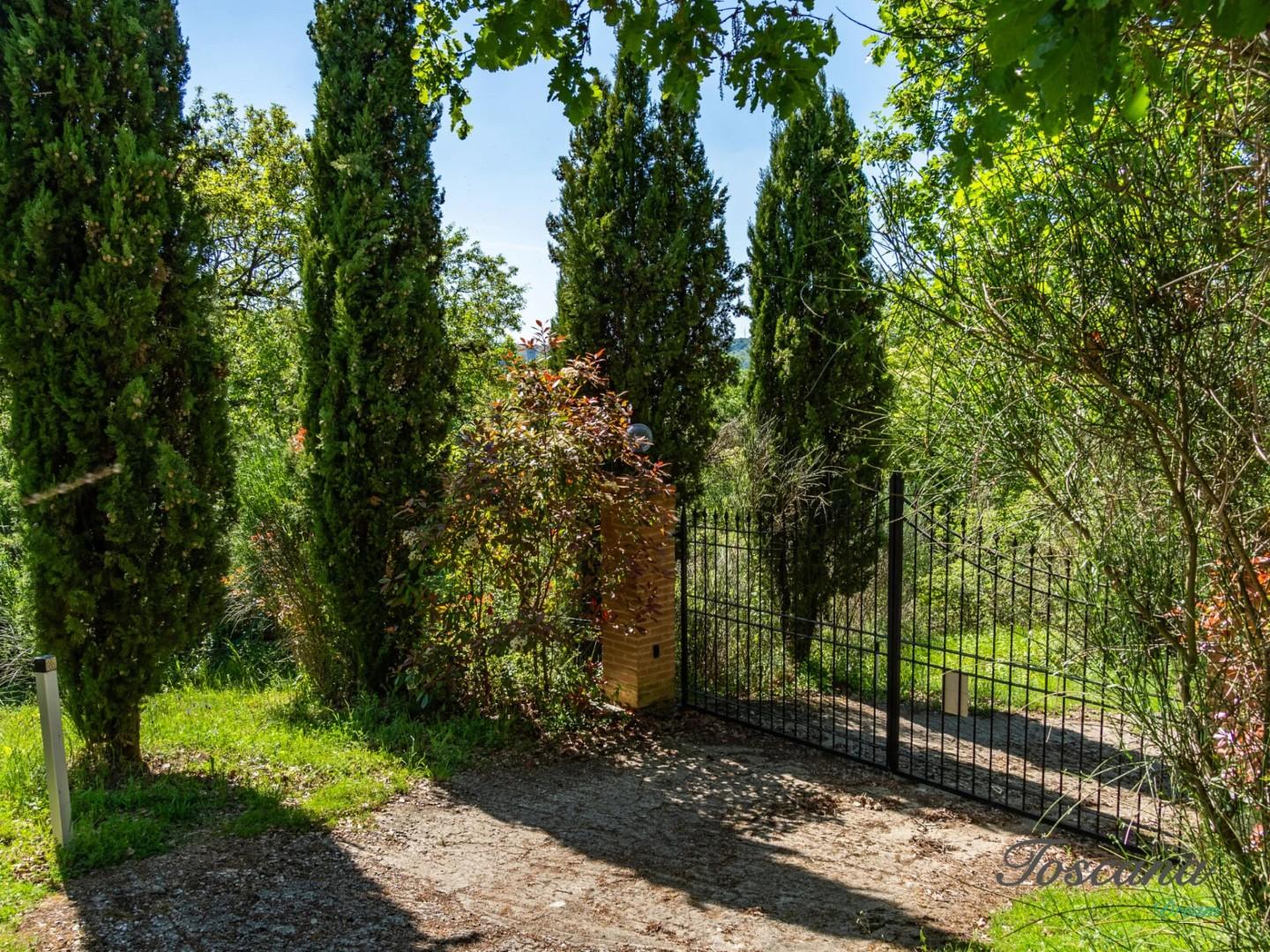 Villa - Castelnuovo di Val di Cecina (74/84)