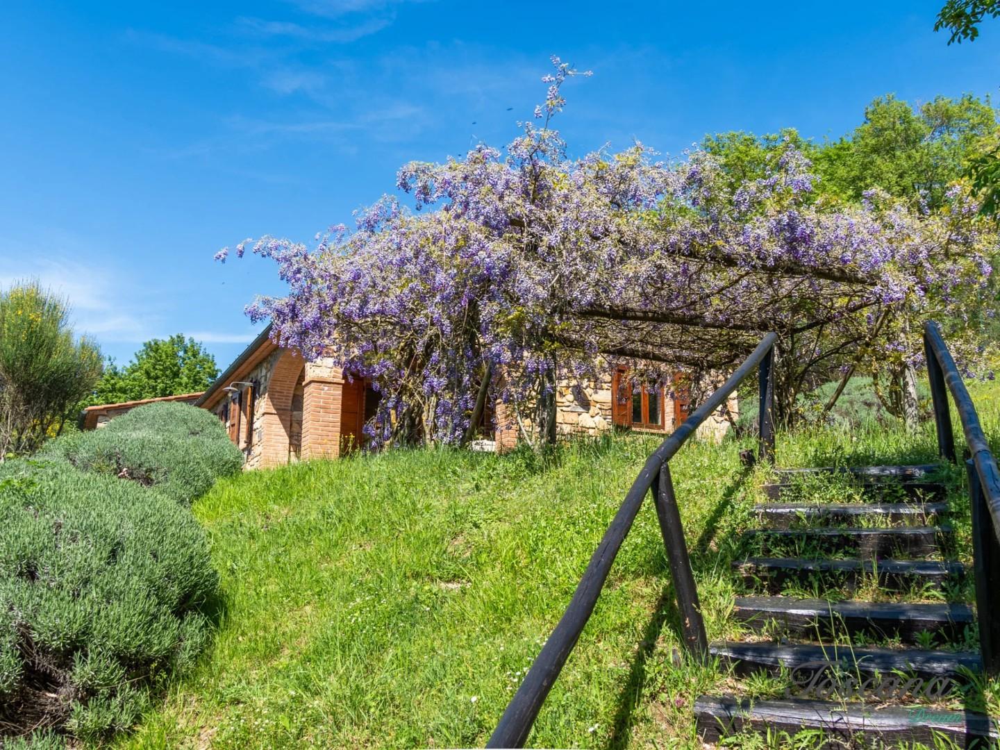 Villa - Castelnuovo di Val di Cecina (55/84)