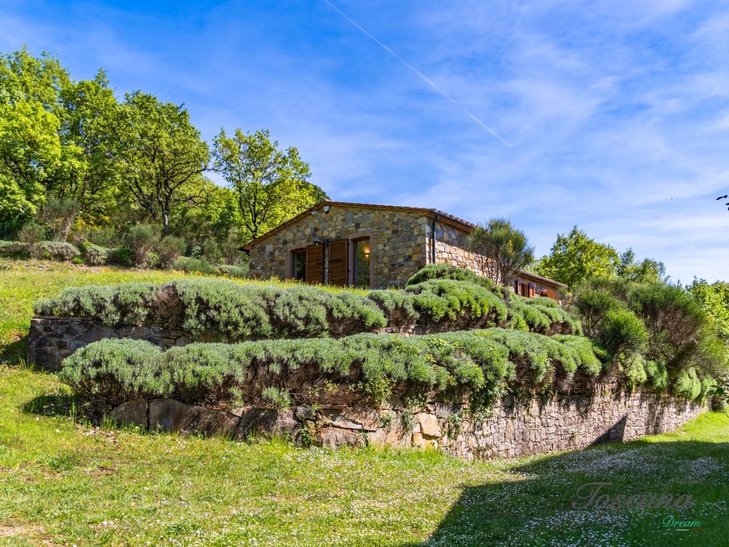 Villa - Castelnuovo di Val di Cecina (19/84)