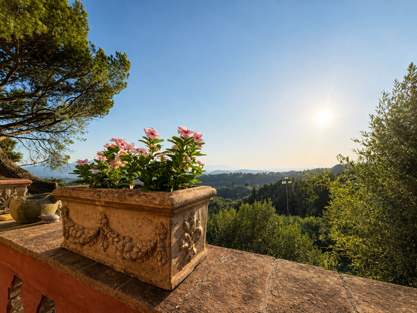 Villa - Montecarlo (16/40)