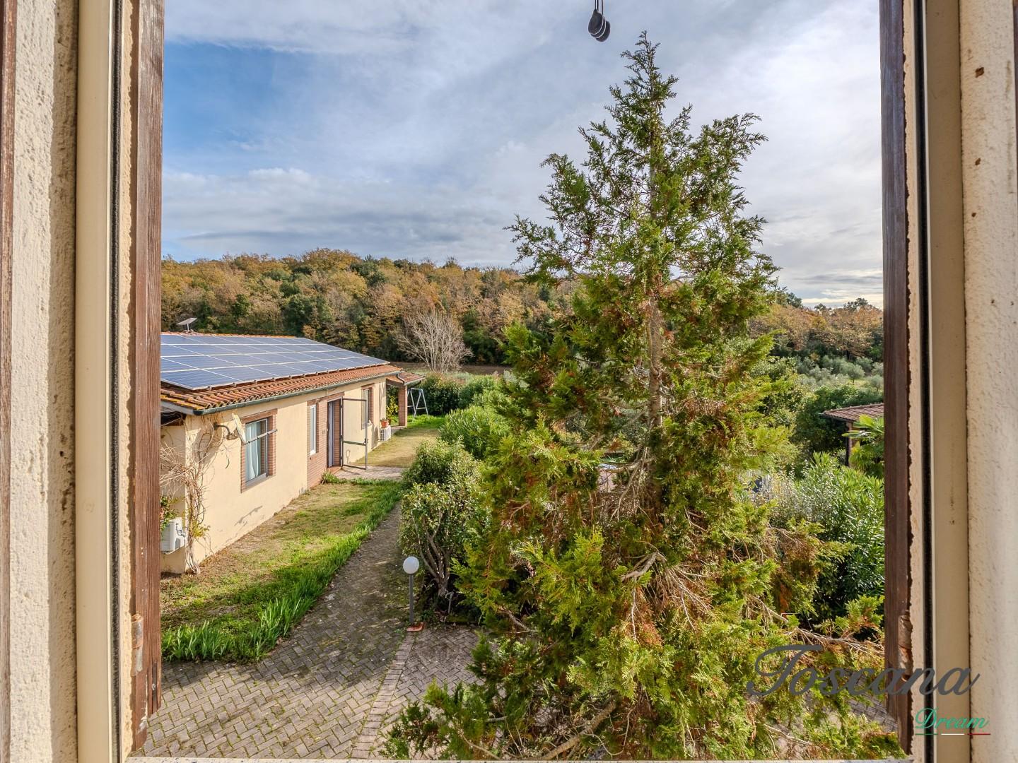 Rustico - Massa Marittima (74/115)