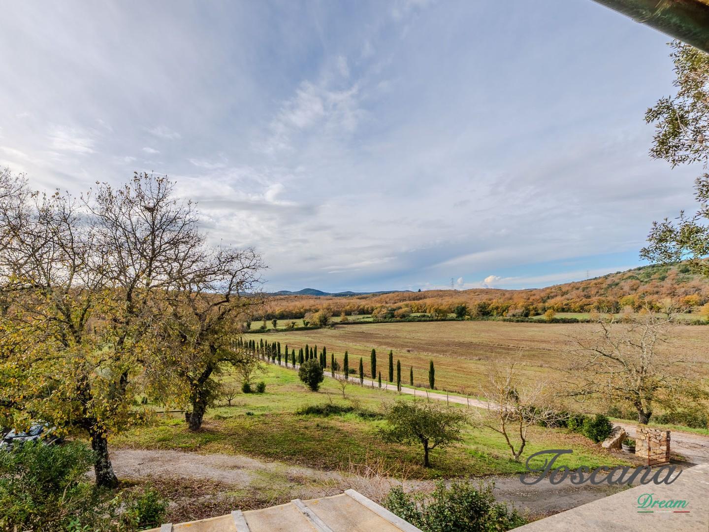 Rustico - Massa Marittima (52/115)