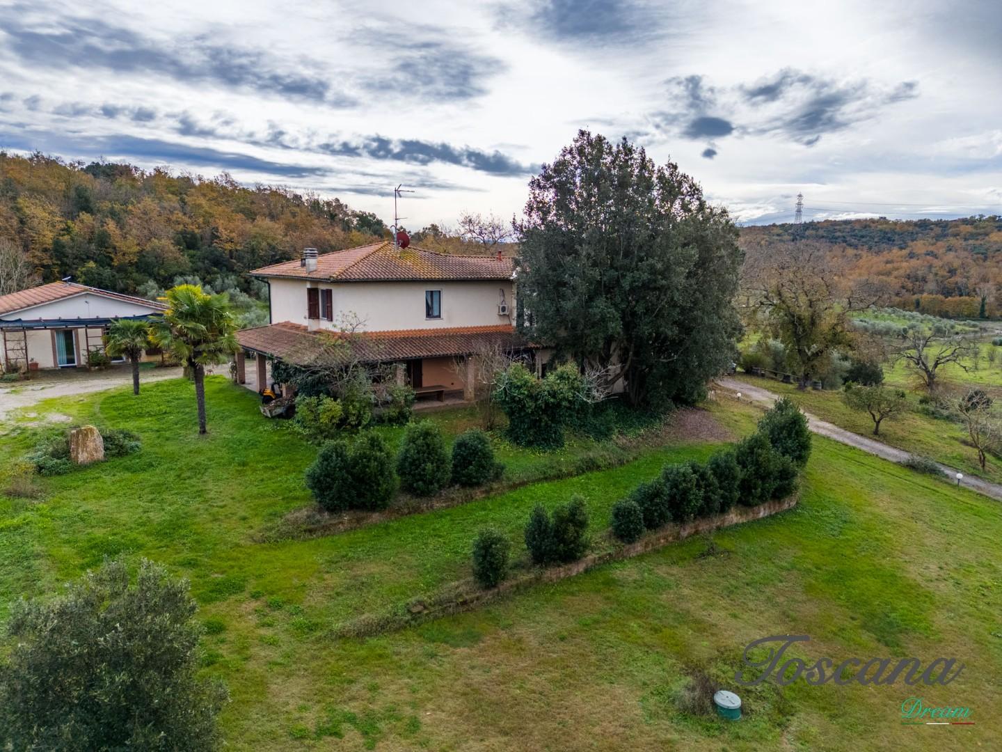 Rustico - Massa Marittima (10/115)