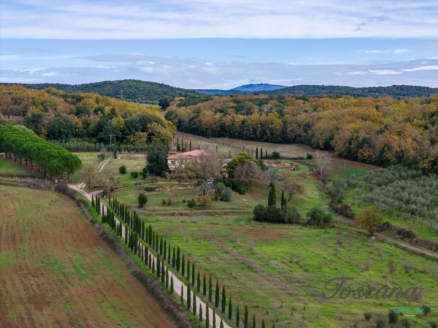 Rustico - Massa Marittima (4/115)