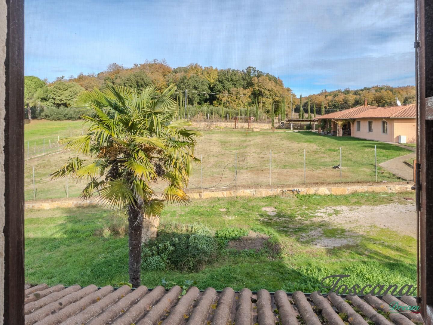 Rustico - Massa Marittima (67/115)