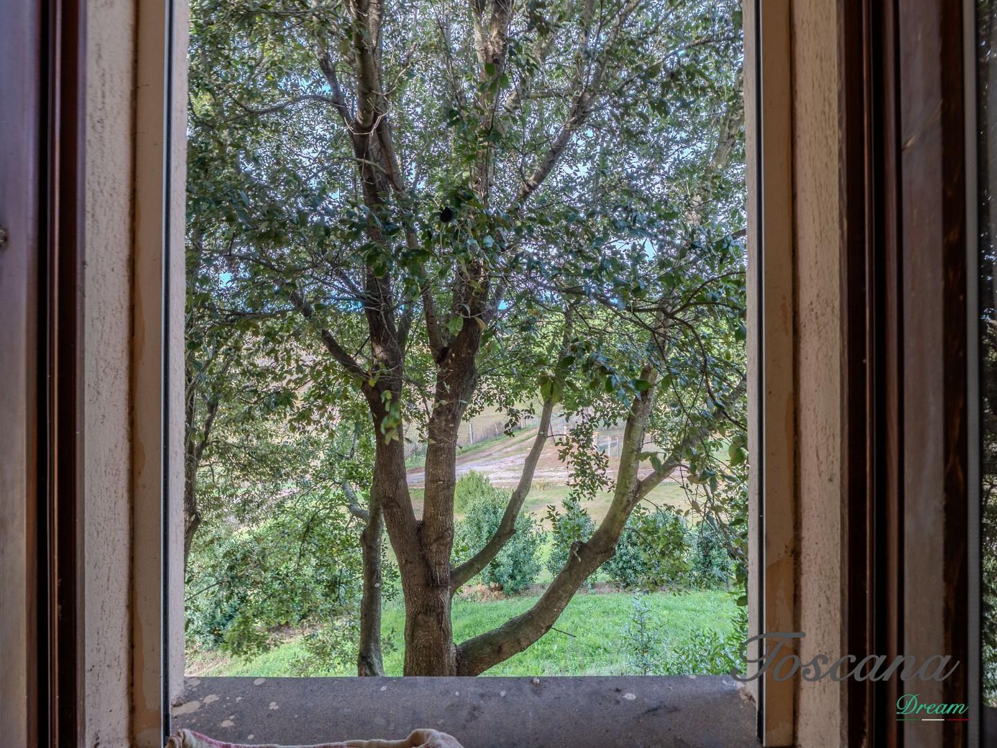 Rustico - Massa Marittima (58/115)