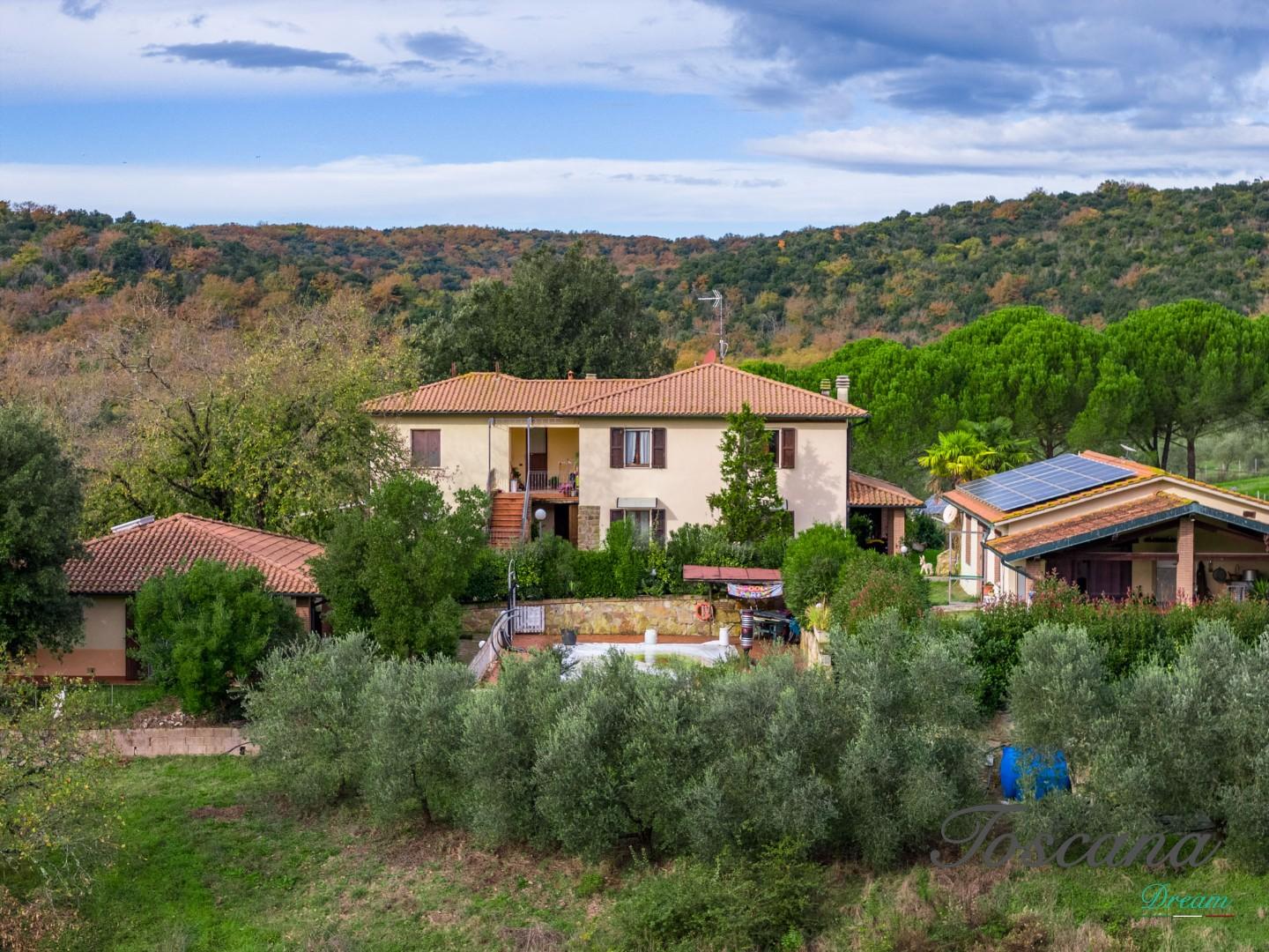 Rustico - Massa Marittima (13/115)
