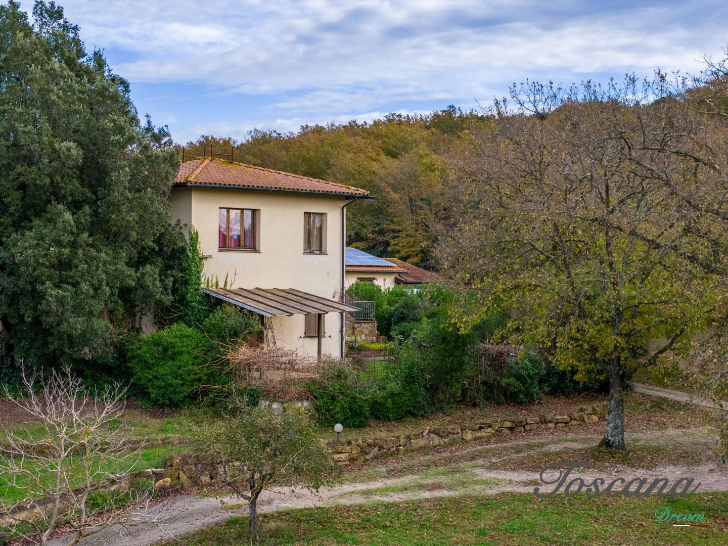 Rustico - Massa Marittima (6/115)