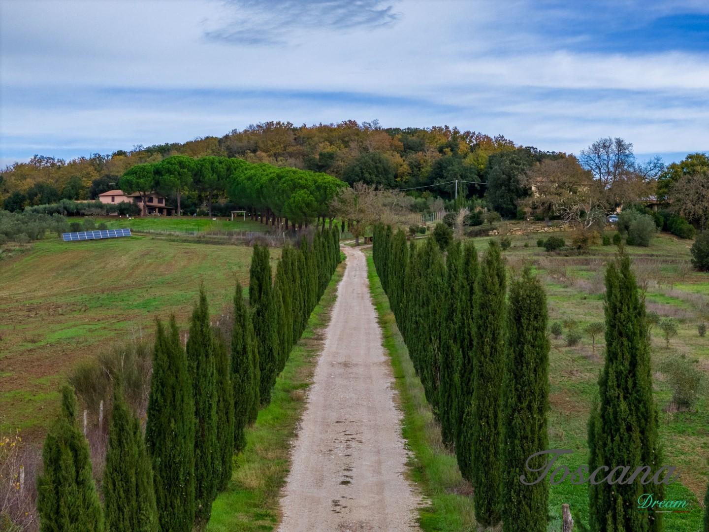 Rustico - Massa Marittima (5/115)