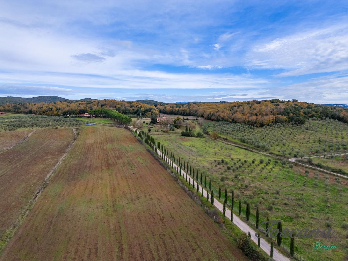 Rustico - Massa Marittima (3/115)