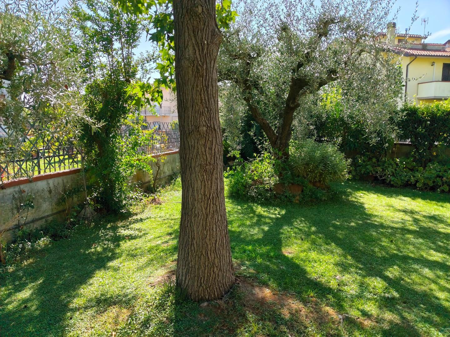 Villa - Pontasserchio, San Giuliano Terme (3/14)