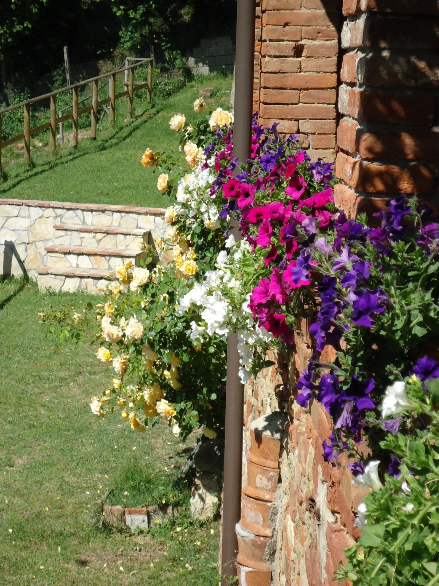 Villa - Casanova, Terricciola (9/41)