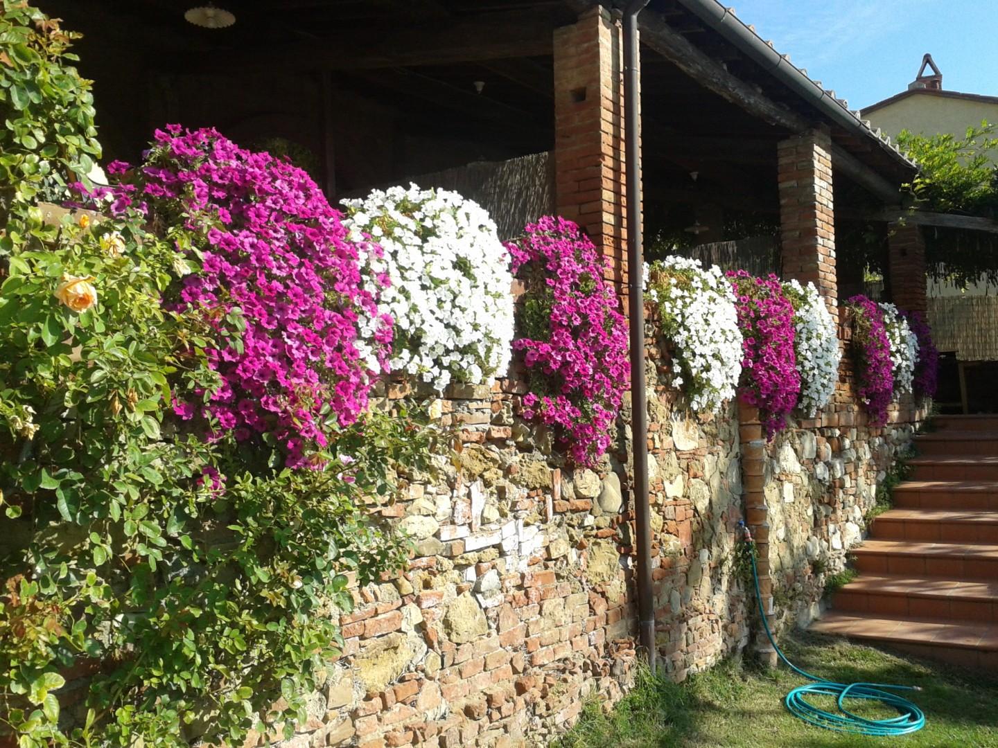 Villa - Casanova, Terricciola (2/41)