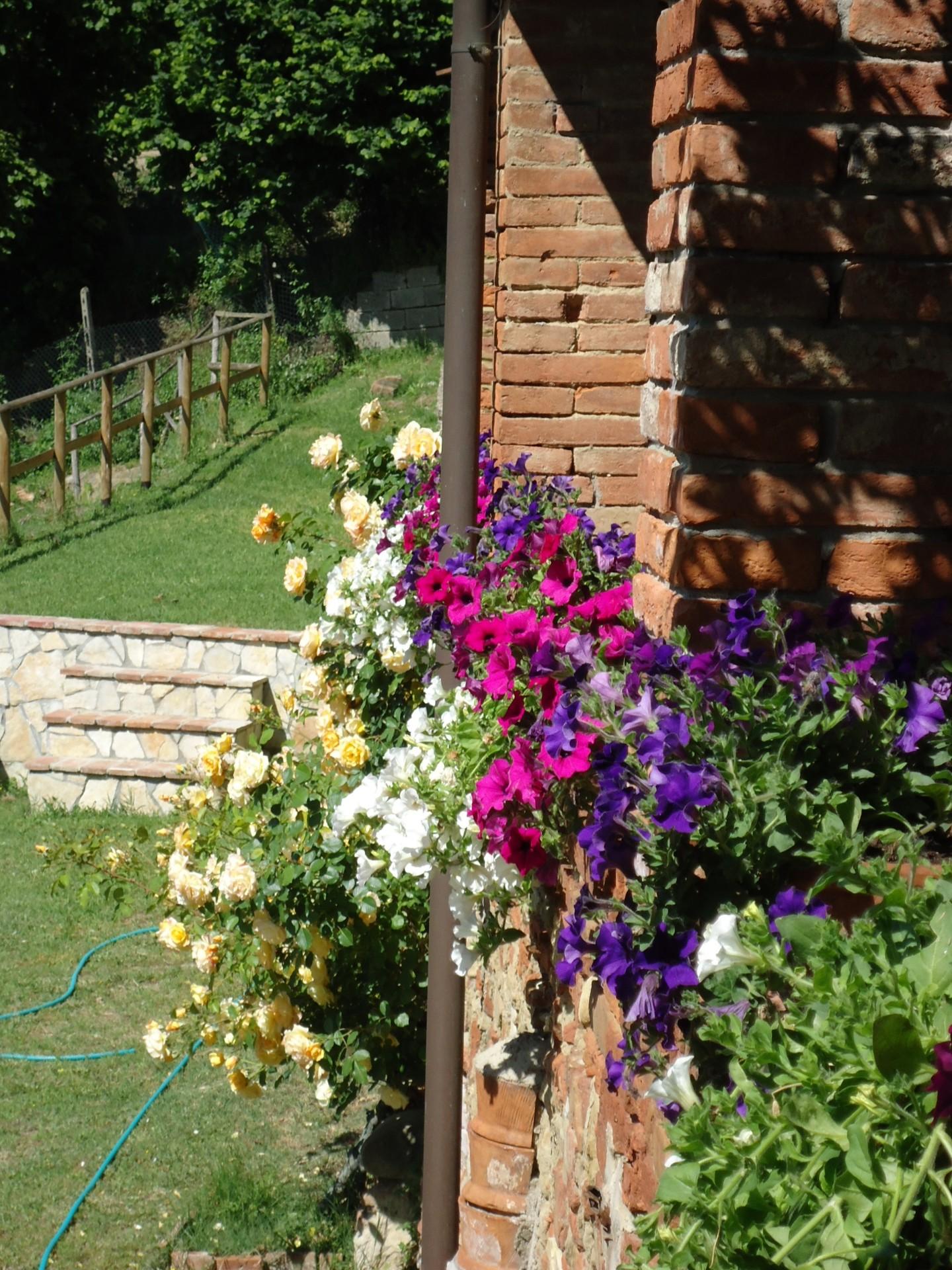 Villa - Casanova, Terricciola (7/41)