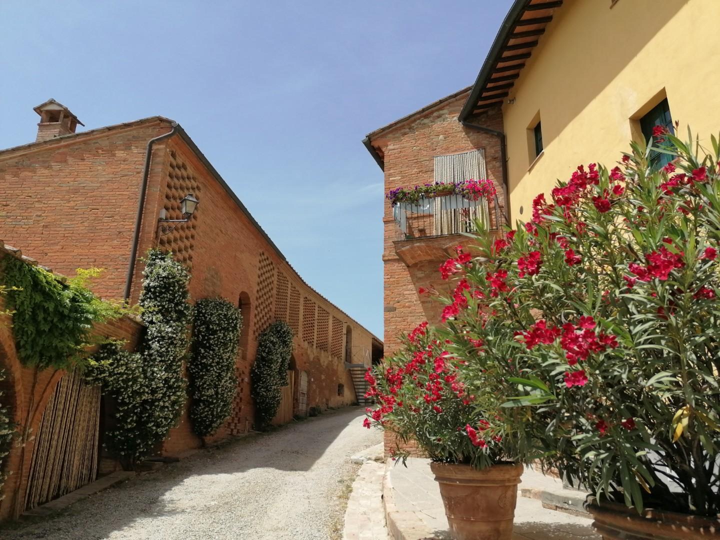 Villa - Casanova, Terricciola (18/41)