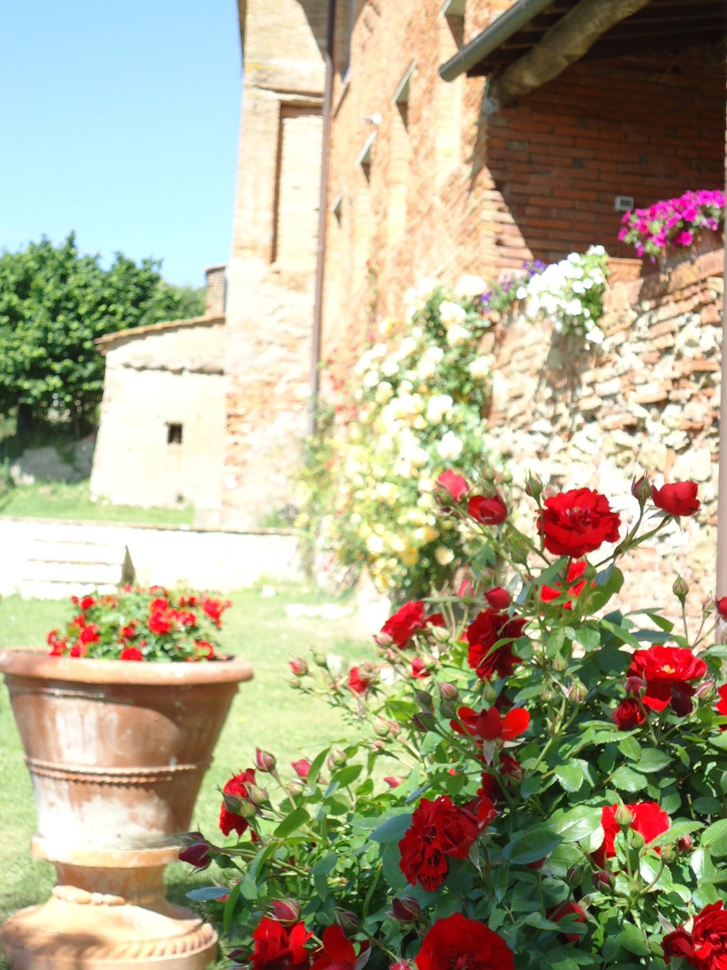 Villa - Casanova, Terricciola (12/41)