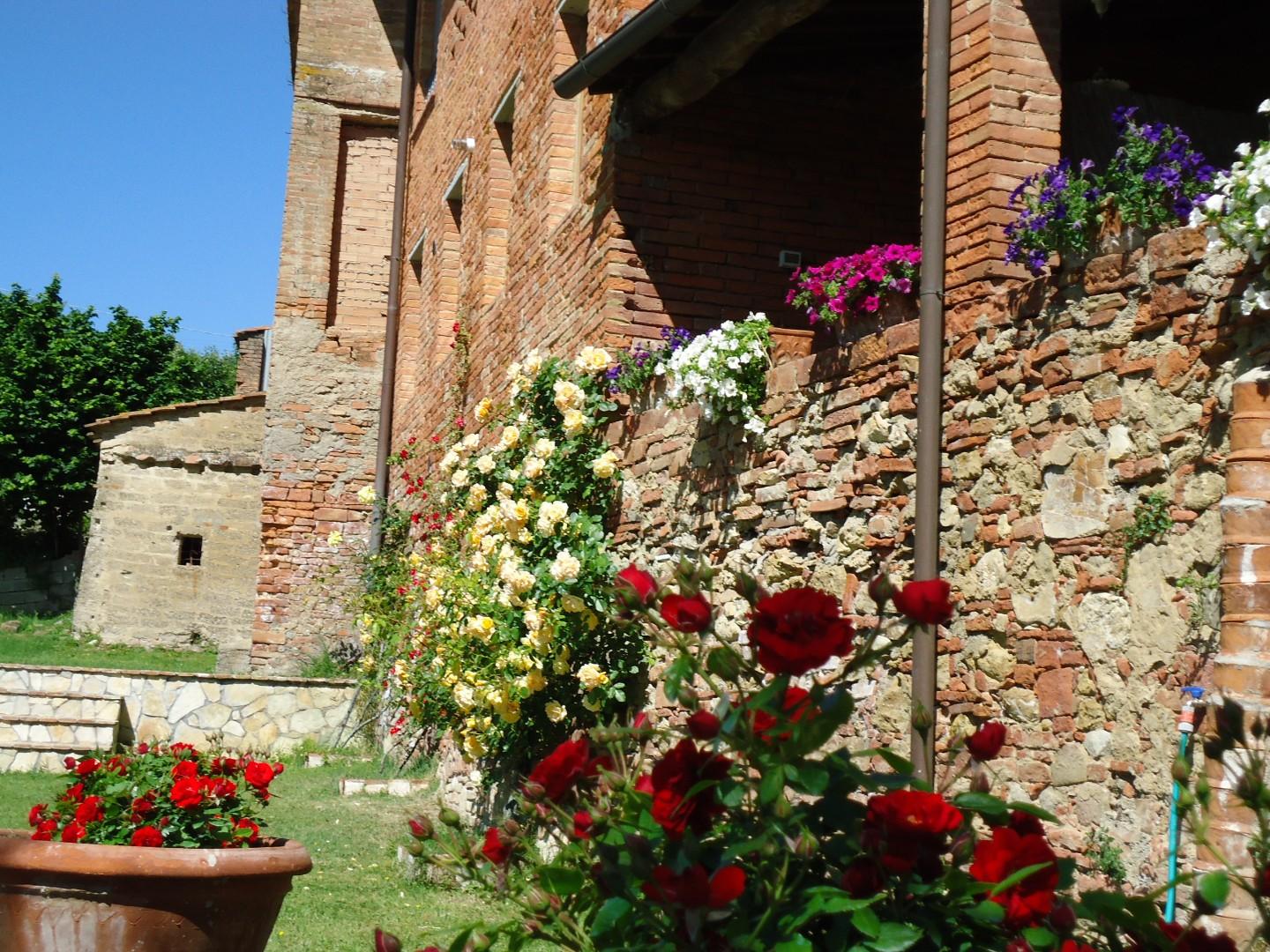 Villa - Casanova, Terricciola (11/41)