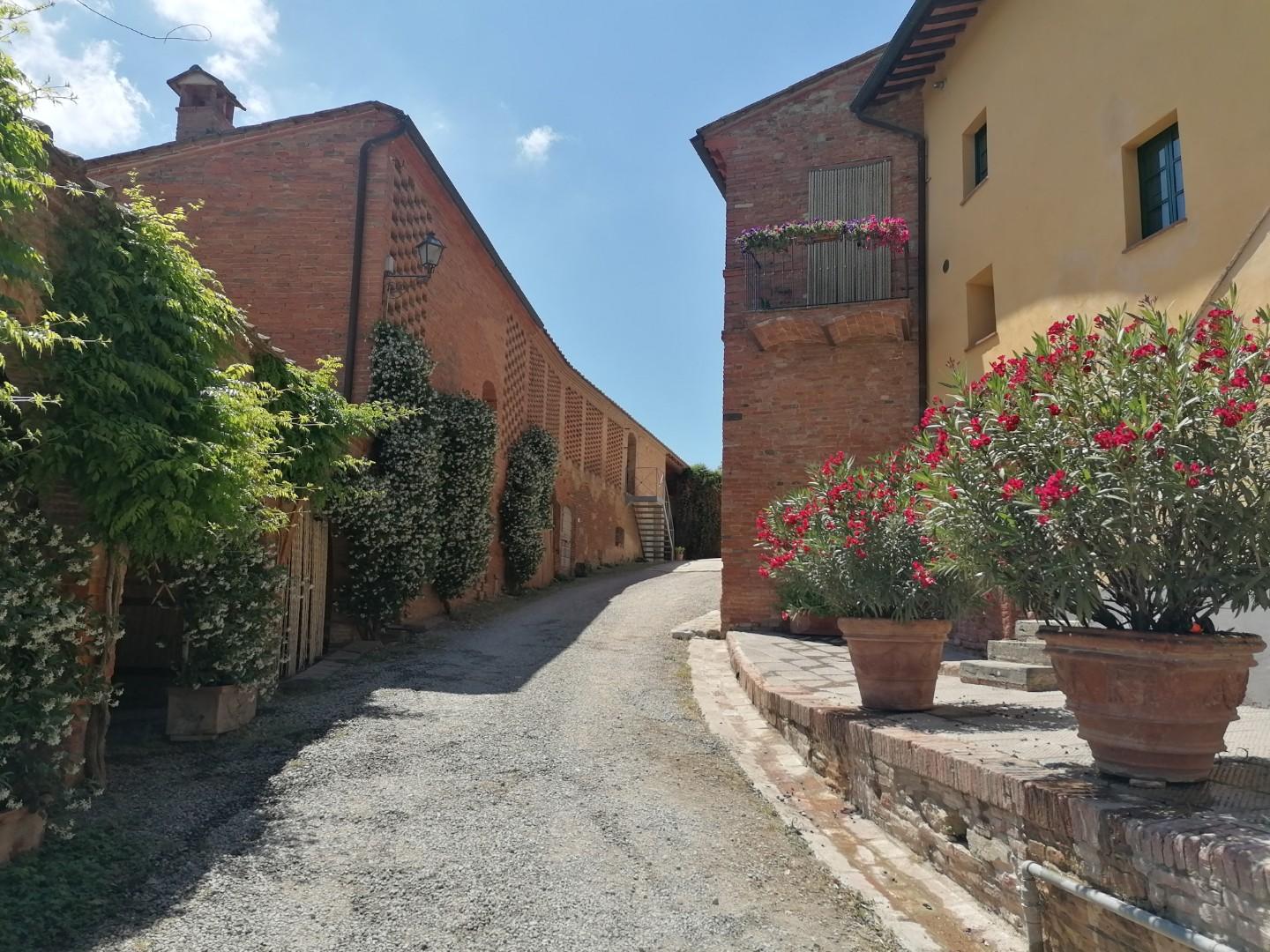 Villa - Casanova, Terricciola (41/41)