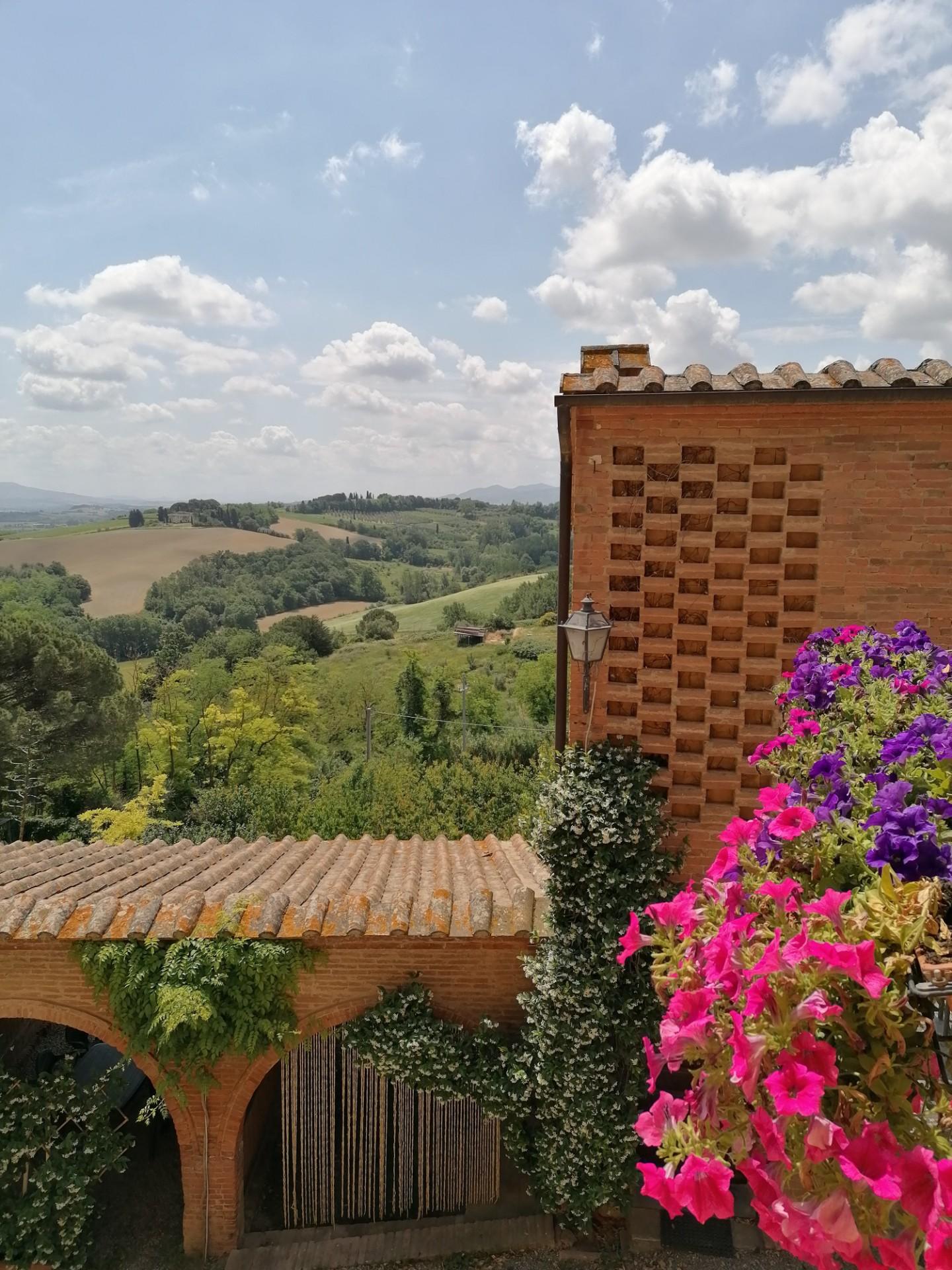 Villa - Casanova, Terricciola (17/41)