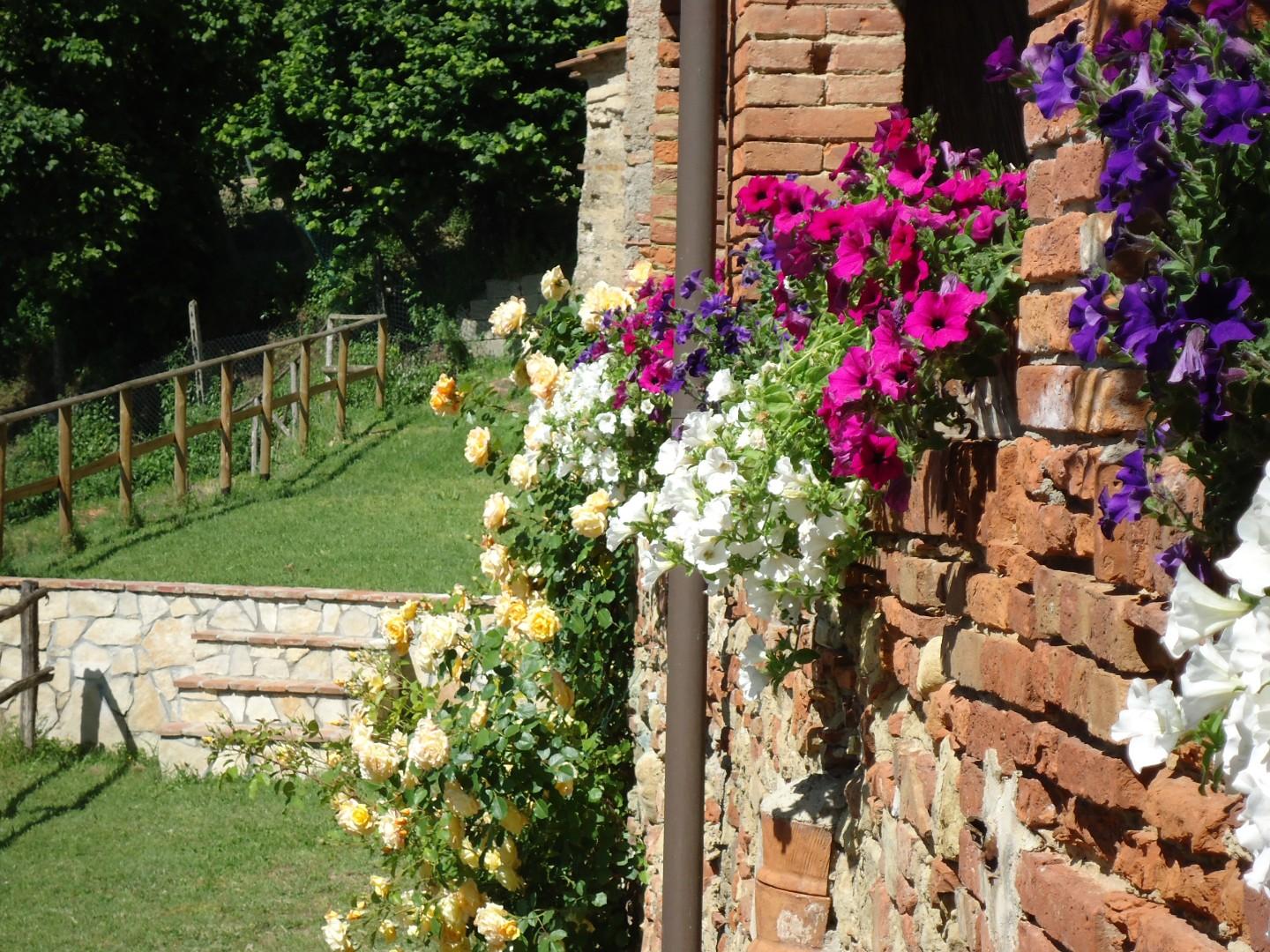 Villa - Casanova, Terricciola (10/41)