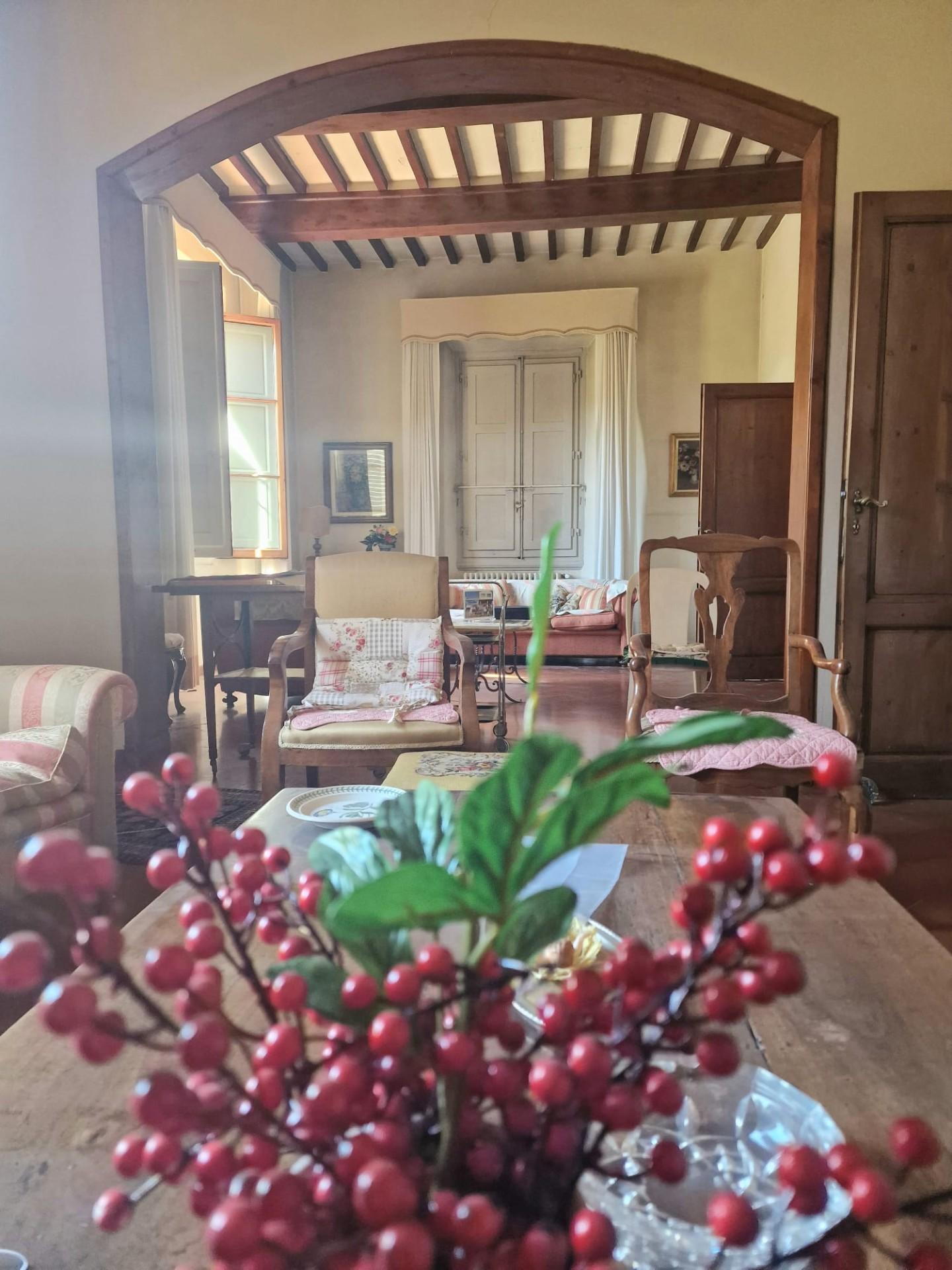 Villa - San Piero A Ponti, Campi Bisenzio (14/60)
