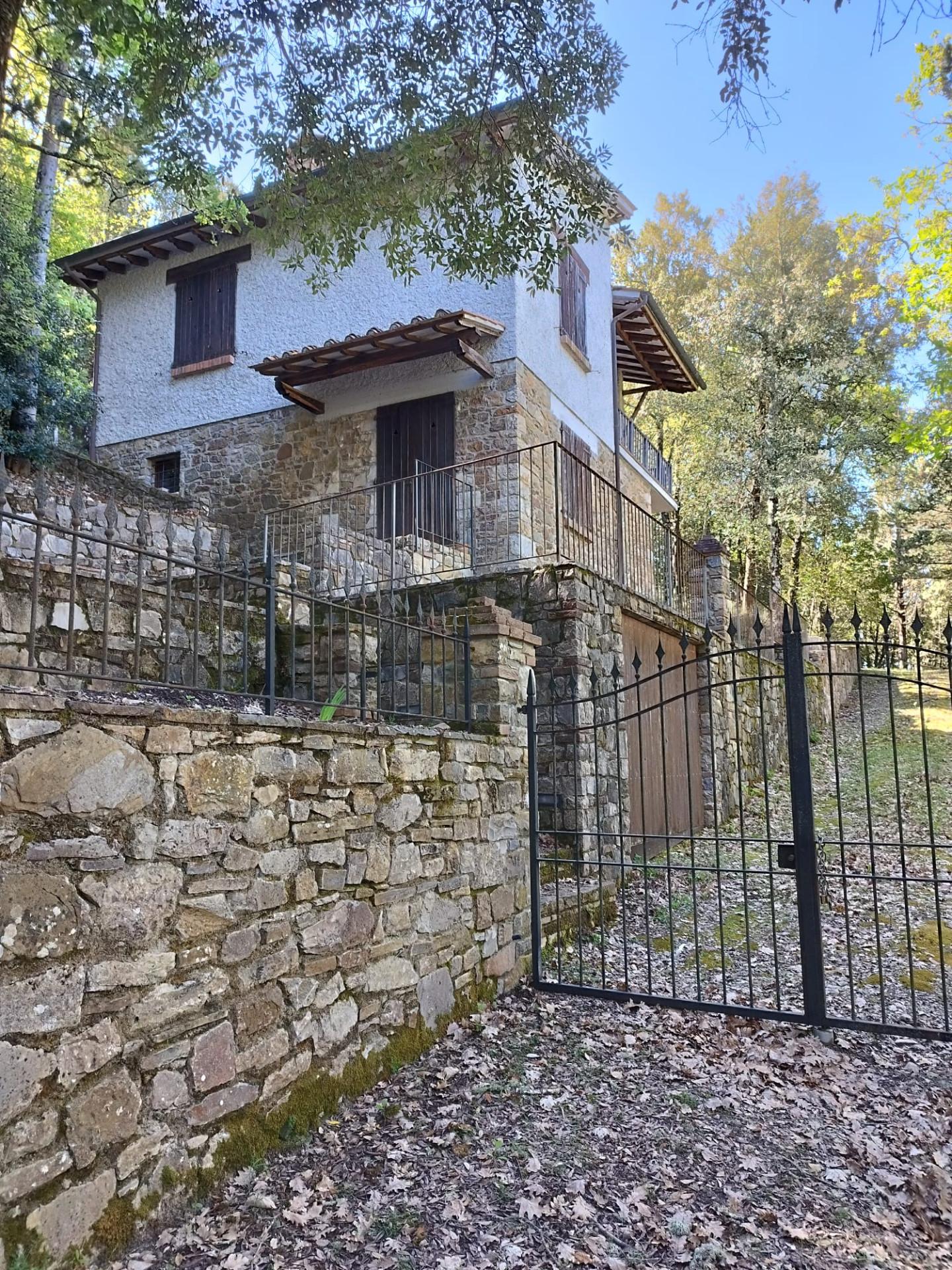 Casa singola in vendita a Castellina in Chianti