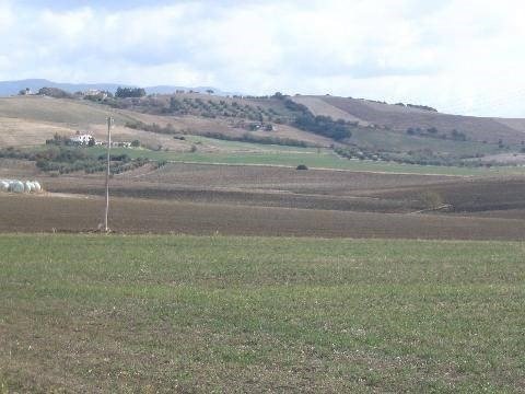 Terreno agricolo in vendita a Campagnatico (GR)