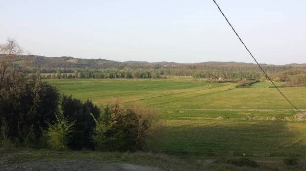 Terreno agricolo in vendita, rif. mt-martell.