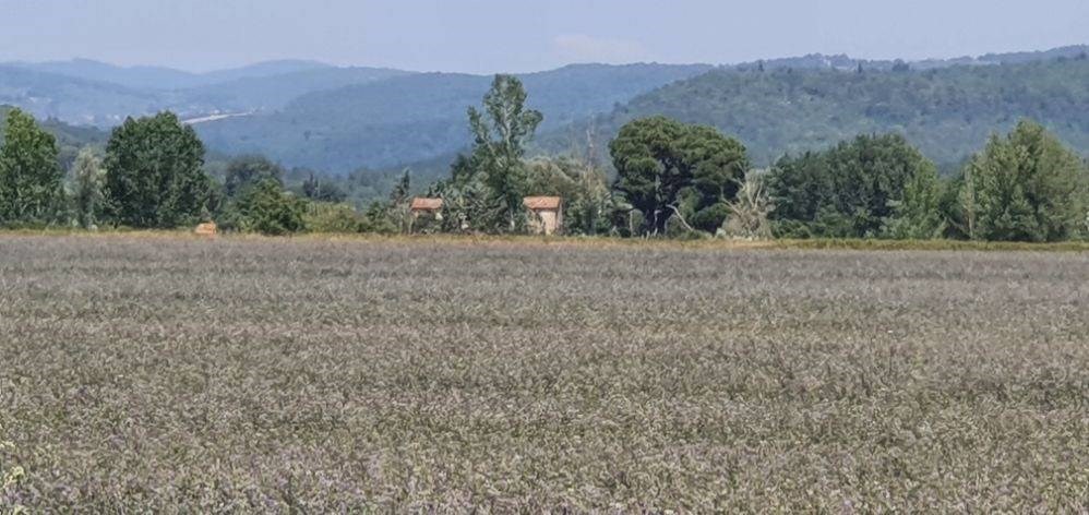 Terreno agricolo in vendita, rif. mt-franco