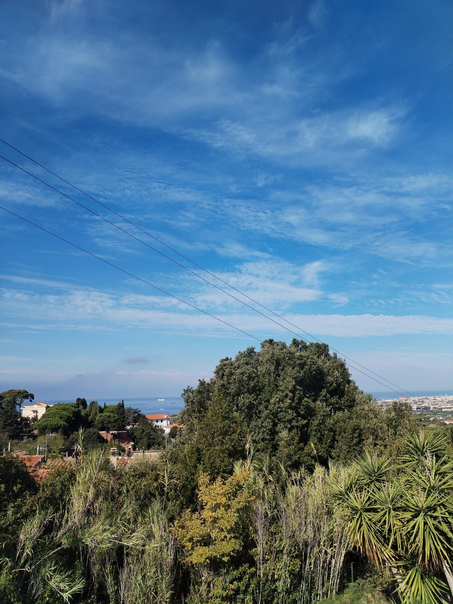 Villa - Montenero Basso, Livorno (35/36)