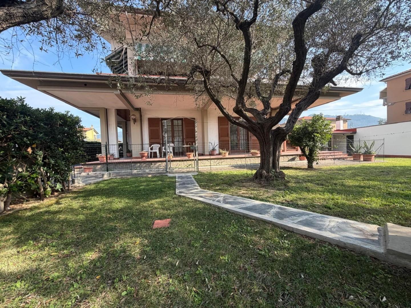 Villa - Isola, Luni (46/46)