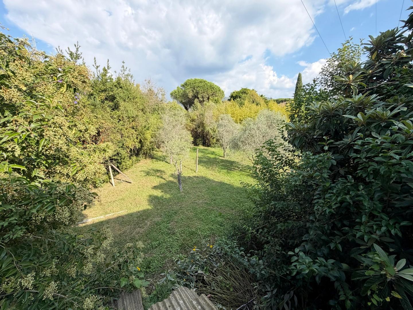 Villa - Marasio, Carrara (31/33)