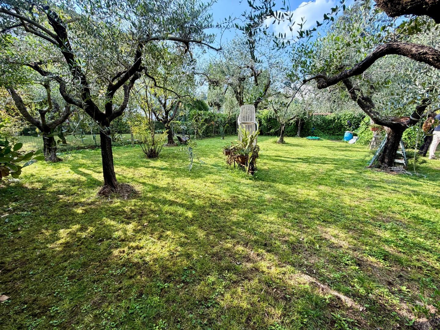 Villa - Marasio, Carrara (29/33)