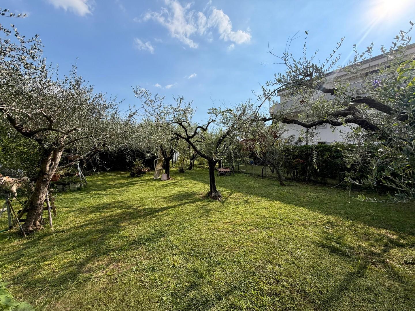 Villa - Marasio, Carrara (28/33)