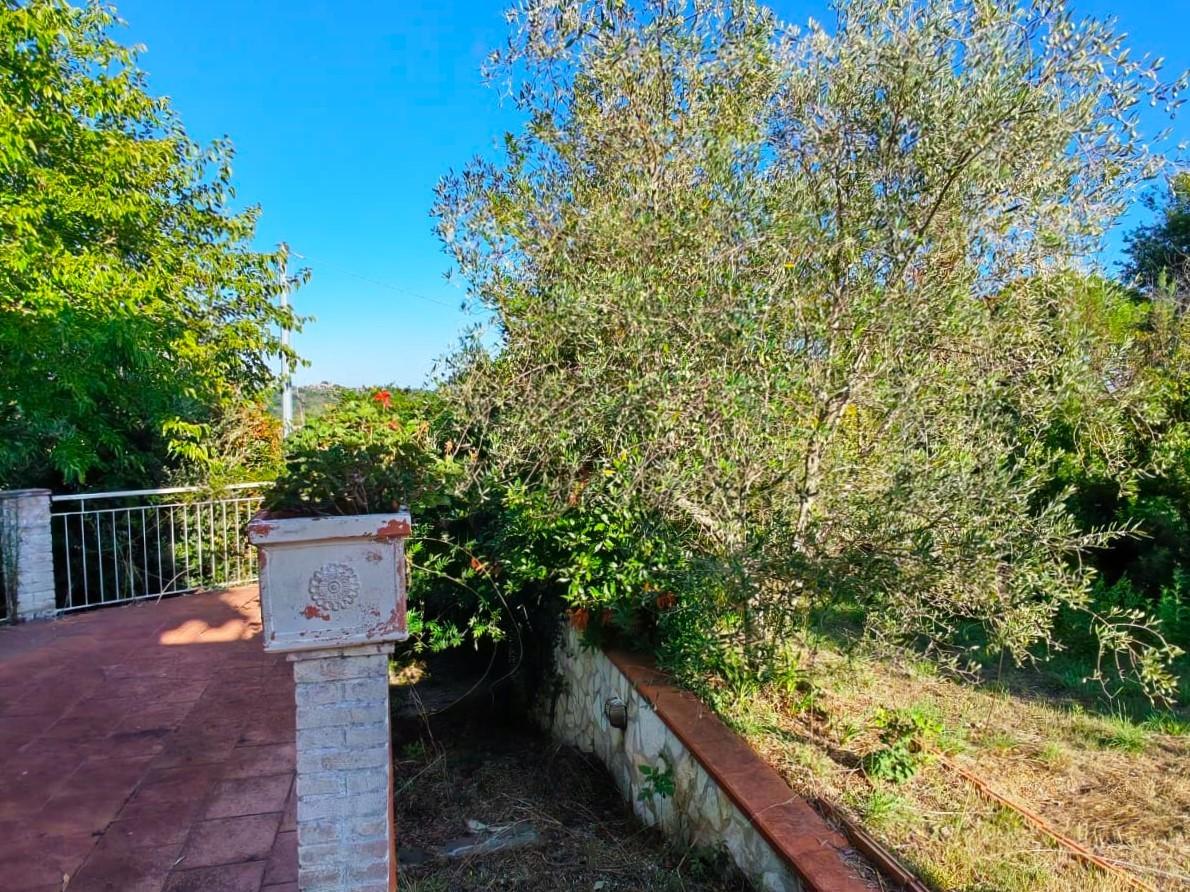 Villa - Casciana Terme Lari (22/37)