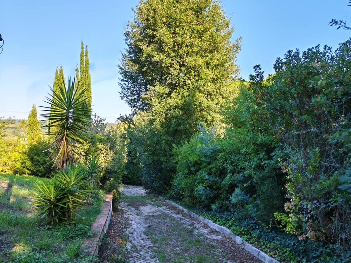 Villa - Casciana Terme Lari (9/37)