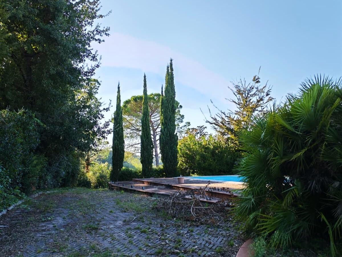 Villa - Casciana Terme Lari (11/37)